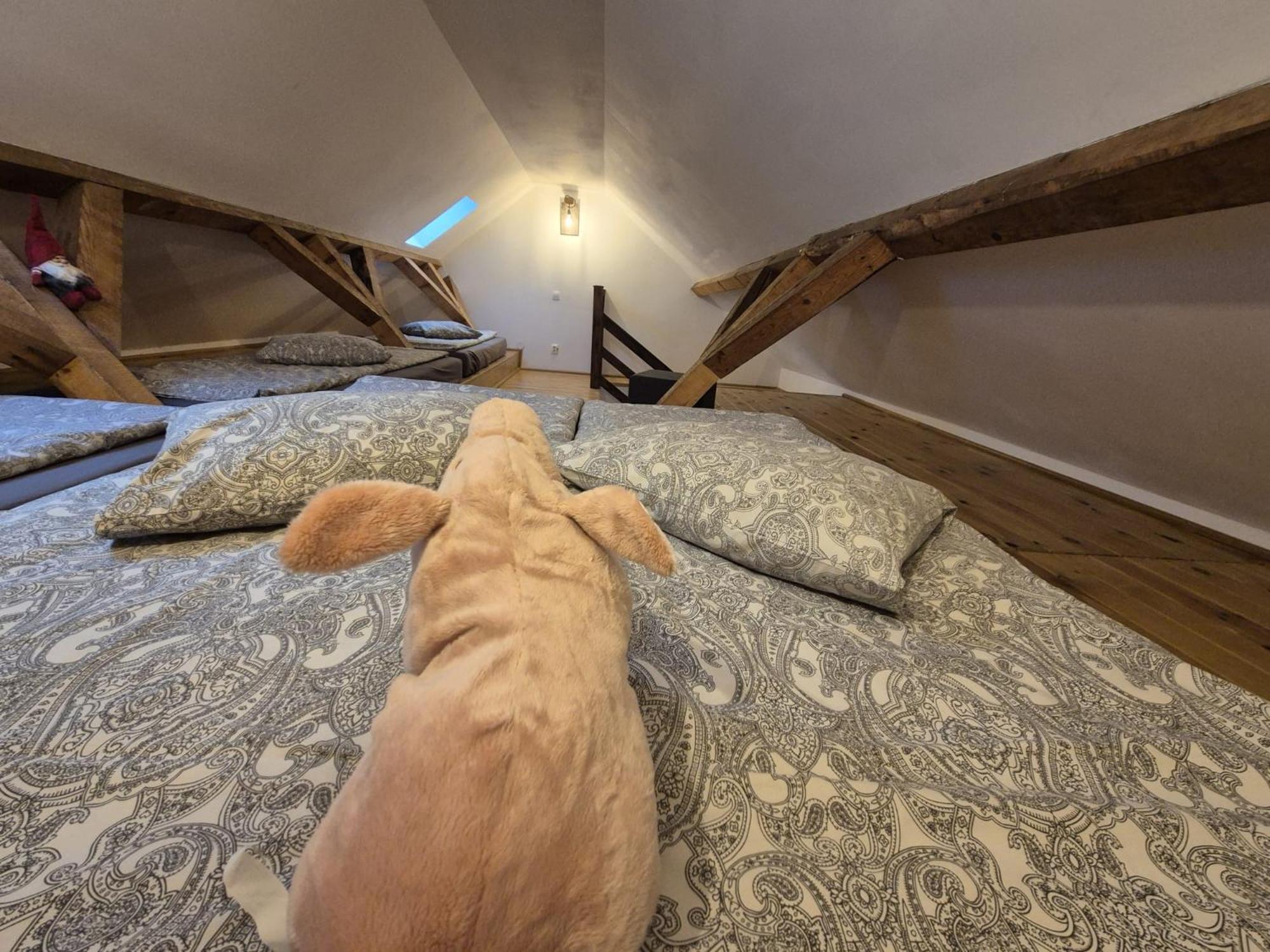 Apartmán Zengo Miercurea Ciuc Exteriér fotografie
